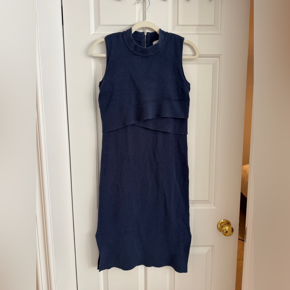 Ripe Maternity and Nursing Dress